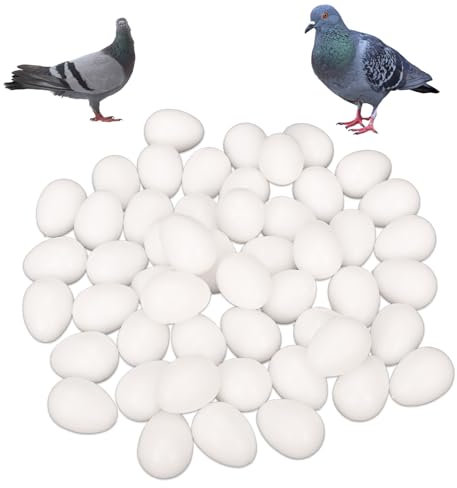 aleawol 50 Stück Gefälschte Taubeneier, Solide Kunststoff Taubeneier Spezialsimulation Plastik Attrappe Eggs Hilfsmittel Tauben für Luke Zucht Bruthilfe Züchtung Liefert