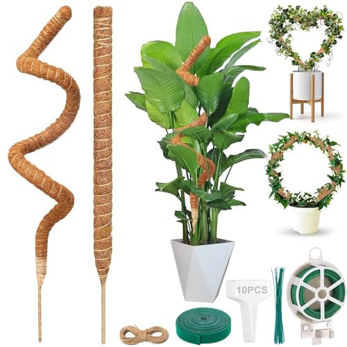 YeahBoom 2 Pièces Tuteur Plante,160cm Monstera Tuteur,Tuteur Plante Grimpante,Plante Tuteur Coco Support pour Plante Grimpante,Pliable Poteau de Croissance de Plantes Grimpantes,Tuteur Plante Pliable