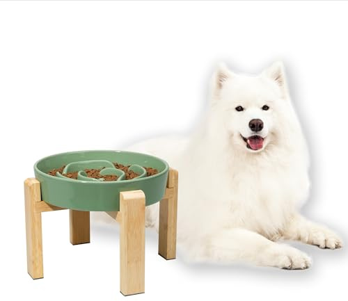 Comedero para Perro Antivoracidad de Cerámica Elevado - Cuenco Lento con Soporte de Bambú - Plato Laberinto para Perros Medianos y Grandes - Verde - 22,5 cm