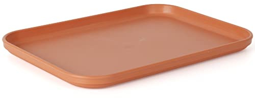 WOLEDOE Reptile Large Water Dish, Tortoises Food Bowl - S (9.5 * 6.7 * 0.6)