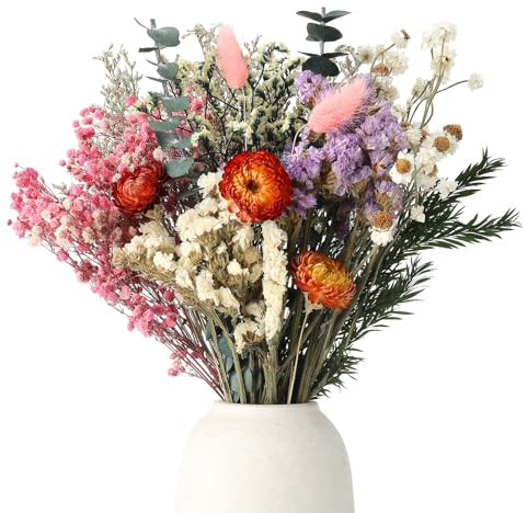 Halinuia 30 Pcs Fiori Secchi Decorativi, 10 Specie Fiori Essiccati Piante Secche, Bouquet di Fiori Gypsophila Nontiscordardime, Fiori Veri Naturali per Vaso Bomboniere Resina Candele Album Regalo