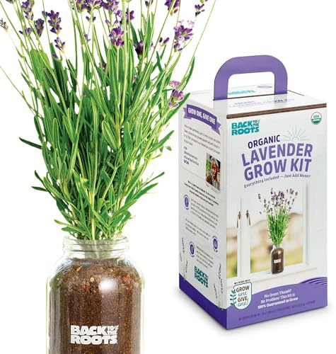 Back to The Roots Windowsill Planter: Lavender