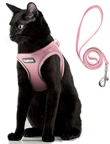 PetiFine Extra Small Step in Dog Harness and Leash Set, Cat Harness and Leash Escape Proof, All Weather Mesh Reflective, Step-in Air Vest Harnesses for Puppy(XXS, Pink)