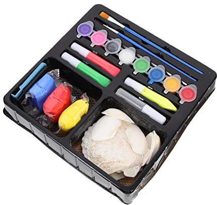 TOYANDONA 1satz Handbemalten Muscheln Kreative Und Bastelwerkzeuge Für Junge Mädchen -farben Pädagogisches Spielzeug Perfektes Für Junge Künstler