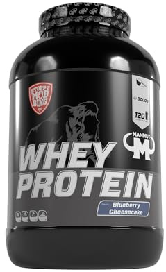 Whey Protein - Blueberry Cheesecake - 3000 g Dose