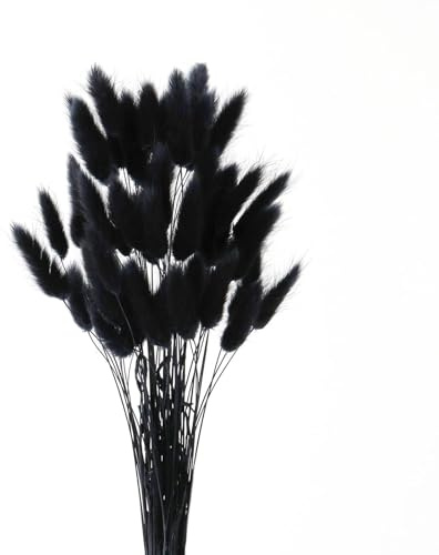 GIUSOBG Code di Coniglio Erba della Pampa 50 Pezzi Pianta Boho Fiori Secchi Naturali, Pampas Decorative per Decorazioni Casa Tavola Matrimonio (Nero)
