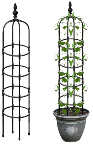 Obelisco Per Rose Piante Rampicanti, Obelisco Da Giardino In Metallo, Supporto Per Piante Rampicanti Da Giardino, Struttura Per Traliccio Per Pianta Rampicantie In Metallo Per Vasi Pianta pomodori