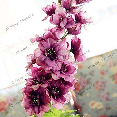 Förderung gemüsesamen, 100 STÜCK auberginensamen, schwarz, lila, gelb, grün, weiß auberginensamen, mischfarbe in einem beutel nov