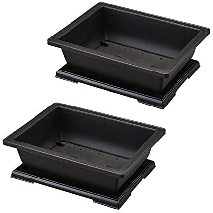 KVSERT 2 fioriere rettangolari per bonsai per fioriere e , 29 x 21 x 10,5 cm