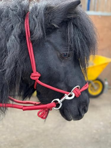 Equipride Licol en corde avec rênes pour une utilisation d'équitation sans mors Complet à Mini Shet 5 couleurs (rouge, Shetland)