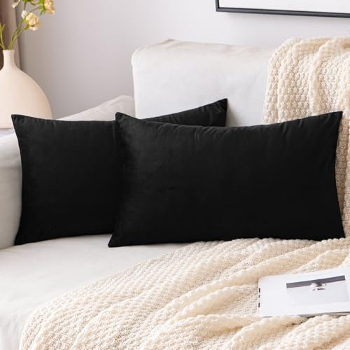 EMEMA Samt Kissenbezug Kissenhülle Dekorative Dekokissen Sofakissen Lendenkissen Wurfkissenbezug mit Verstecktem Reißverschluss Schlafzimmer Sofa 2er Set 40x60 cm Schwarz