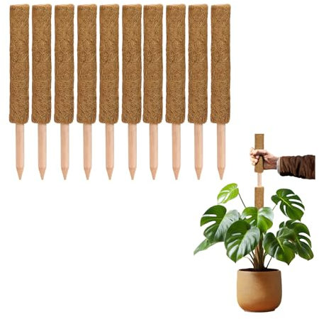 La Cordeline Set di 10 tutori per piante rampicanti, 60 cm, supporto in cocco naturale, estensione tutore per monstera, giardino, pianta casa