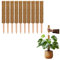 La Cordeline – Lote de 10 tutores de Plantas trepadoras, 60 cm, Soporte de Coco Natural, extensión Tutor para Monstera, Jardín, Planta Casa