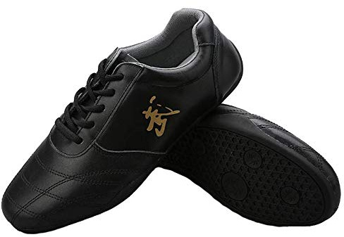 MENG 1 Paire Chaussures De Taekwondo Unisexe for Boxe, Kung Fu, Tai Chi Chaussures De Sport for Enfants, Adultes (Color : Black, Size : 43)