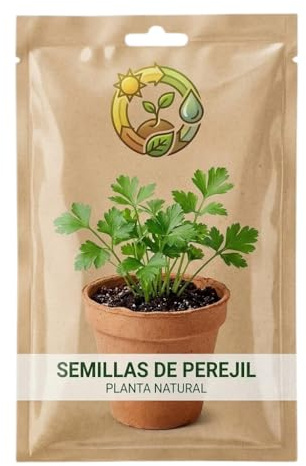 Huerto Aromático en Casa con Perejil – Semillas de Perejil para Jardinería Doméstica DECOALIVE