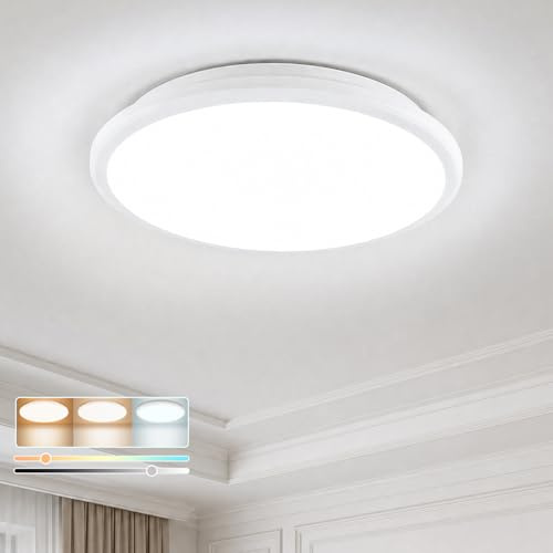 Sweier Plafon LED Techo Regulable, 24W Lámpara de Techo con Mando, IP54 lámpara de baño impermeable, 2800LM Plafones Redondo Lámpara Panel para cocinas dormitorios pasillos garajes y balcones, 30 cm