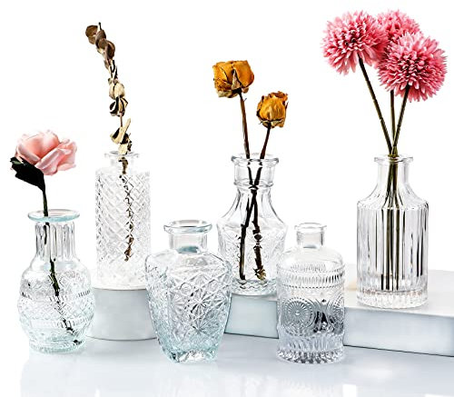 6 Pcs Small Glass Flower Vases with Brush, Glass Clear Mini Bud Sweet Pea Vases in Bulk for Rustic Home Wedding Centerpieces Dining Table Room Decorations