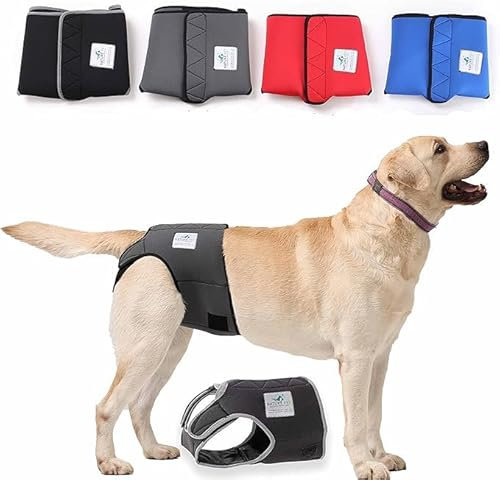 Nature Pet Hunde-Läufigkeitshose für Hündinnen - Hundewindel für Rüden - Kein lästiges Einfädeln der Rute - Inkontinenz Hundehöschen - (M Netz)