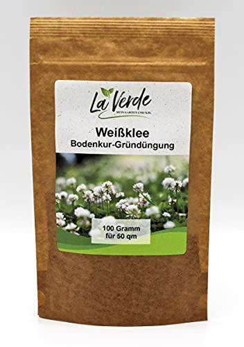 Weißklee 100 Gramm Samen - Bodenkur