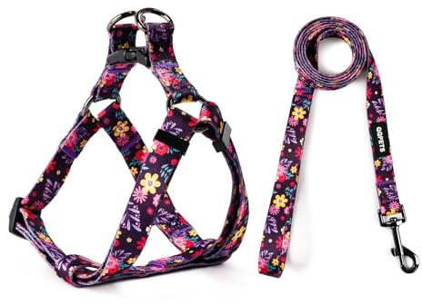 QQPETS Dog Harness Leash Set Adjustable Heavy Duty No Pull Halter Harnesses for Small Medium Large Breed Dogs Back Clip Anti-Twist Perfect for Walking