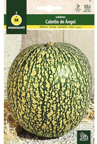 Mascarell Semillas CALABAZA, Semillas Huerto, CALABAZA CABELLO DE ÁNGEL, Crea tu Propio Huerto Urbano y Cultivo en Casa, Plantas Hortícolas, 3 Gramos