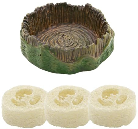 Dubias - Cuenca de agua para cucarachas con , cuencos de alimentación para tocones de árbol de cucarachas