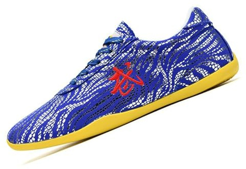 Scarpe da Kung Fu da Ginnastica Scarpe Tela da Arti Marziali per Donna,Scarpe per Tai Chi Qi Gong per Uomo, Unisex, Scarpe da Sportive Karate Taekwondo Wu Shu(Size:41EU,Color:Blu)