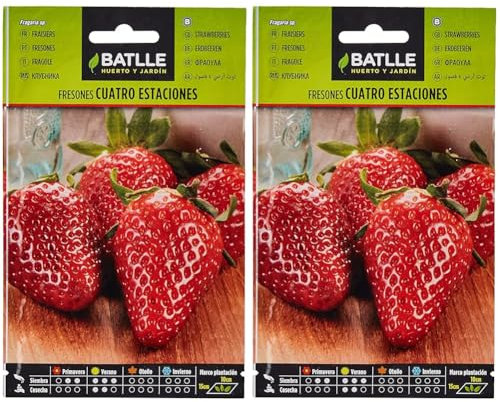 Semillas aromáticas de Battle - Fresones 4 estaciones (0,3g) (Lot de 2)
