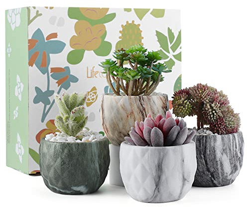 Coolty 4 Stück Mini Keramik Sukkulententen Töpfe, Marmorier Blumentopf, Sukkulenten Kakteen, Bonsai Übertopf Behälter für Zuhause, Büro, Dekoration, Geschenk