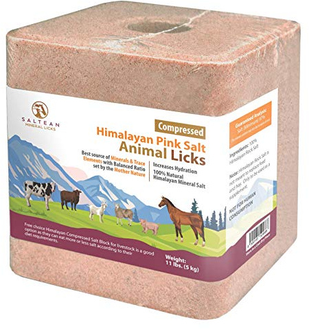 SALTEAN Compressed Himalayan Horses Lick Natural Pink Salt, with strong hanging Rope, No Starch Suitable for all Animals(5 kg) Salt Range Pakistan