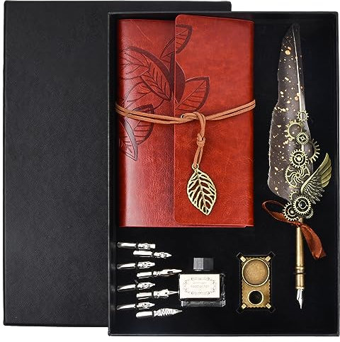 volumoon 12Stk Kalligraphie Feder Set, Schreibfeder Set mit Dip Pen Feder, 8 Ersatzspitzen, Notizbuch, Tinte und Stifthalter, Antiken Feder Kalligraphie Stift, Vintage Calligraphy Kit für Geschenk