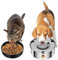 Vexong Slow Feeder Dog Bowls and Dog Water Bowl No Spill, Dog Water Food Dispenser to Slow Down Eating for Small Breed Size Dogs and Cats