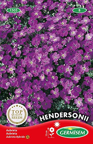Germisem Graines Aubrieta HENDERSONII