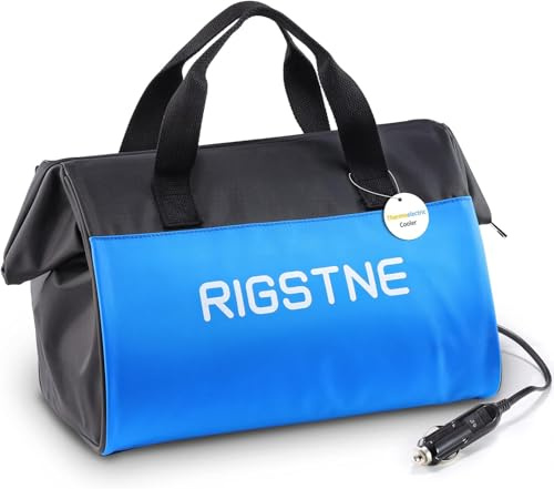 RIGSTNE Electric Cooler 12V Thermoelectric Cooler