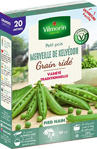 Vilmorin Pois Merveille de Kelvedon Boite série 20m, Vert