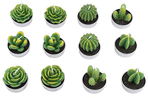Alvinlite Candele di Cactus Senza fumoMini Piante grasse Tea Lights 12Pcs per la Festa Nuziale Spa Decorazione della casa Regali