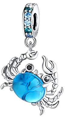 Symretie Colgante de plata 925 para pulseras o collares, compatible con diseños Pandora y europeos. Adecuado para mujeres y niñas.Z9