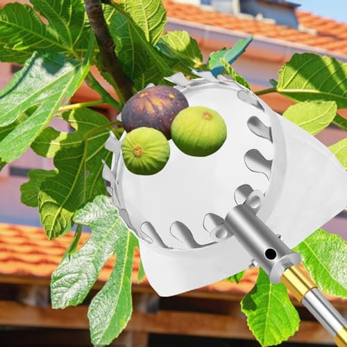 raccogli asparagi pinza frutta Asta Raccoglifrutta Con Cestello Telescopico Lungo 2,5 - 10 M, Estensibile Per Frutteto, Mango, Limone, Arancia, Avocado, Raccoglitrice Di Agrumi Per Alberi Ad Alta Quot