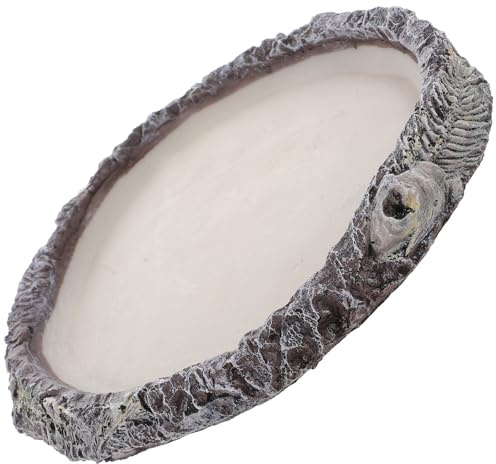 Lurrose Cuenco para Reptiles y Tortugas Comedero de Resina Duradero Plato de Agua para Hábitat de Terrario Pequeño Mascotas Reptiles