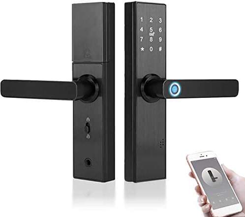 Serrure Intelligente Biometrique à Empreinte Digitale, Porte Electronique WiFi avec Ecran Tactile et Mot de Passe