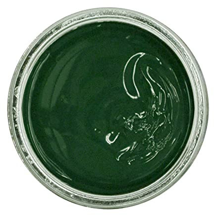 Famaco 50ml Green Pine Thuya Leather Deluxe Cream Polish for Boot and Shoe with Application Brush - Nourish and Leather Protector Kit for Boots and Shoes