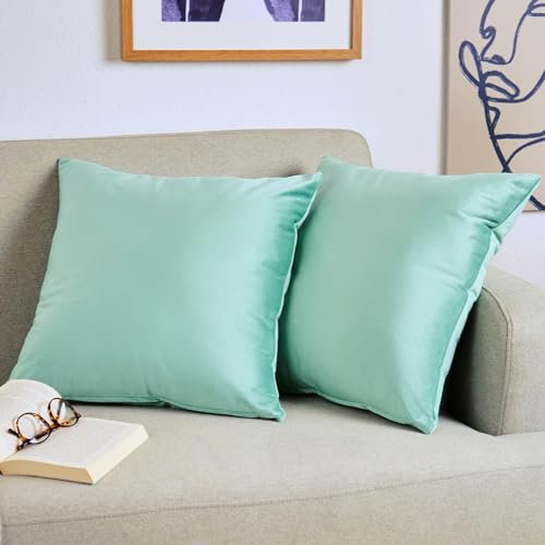 Blumtal 2er Set Kissenbezug 45x45 cm Hellgrün - dekorativer Samt Kissenbezug mit verstecktem Reißverschluss, Kissenhülle für Zierkissen Deko-Kissen Polster Sofakissen & Couchkissen, waschbar