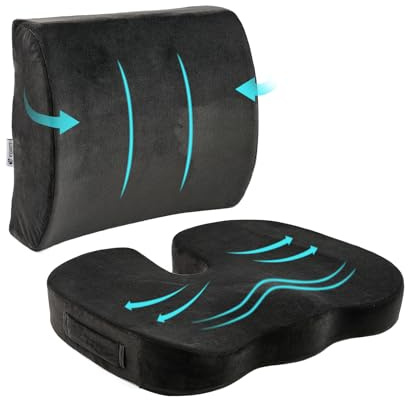 Egret Lumbar Support Pillow - Memory Foam Back Cushion for Office Chair & Car Seat, Pain Relief & Posture Support, Adjustable Straps(Black)