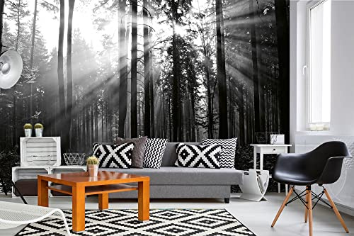 DIMEX LINE Non-Woven Photo Wallpaper Black and White Forest 375 x 250 cm - Non-Woven Wallpaper, wall Mural, wall Art - Wallpaper for Living Room, Bedroom, Office, Kitchen