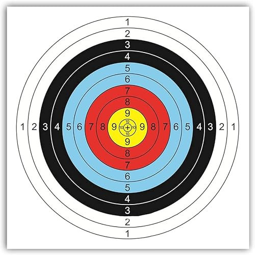 Nicoone Bogenschießen Ziel Gesicht,30 Stück Bogenschießen Ziel Schießen Zubehör,Bogenschießen Zielscheiben für Pfeil und Bogen & Armbrust, Bogenschießen Zubehör,40X40cm