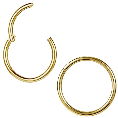 ZS 2 st ASTM F136 Titan 6/7/8/9/10/12/14 mm brosk tragus helix örhänge ring 20 g 18 g 16 g läppringar näsringar septum trumpetsnäcka piercingar smycken