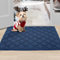 BEQHAUSE Doormat Indoor Dirt Trapper Door Mats Non-Slip, Low-Profile Indoor Mats, Resist Dirt Floor Mat Washable Entrance Mat for Front Back Door, Entryway, Hallway, 60x90cm, Blue