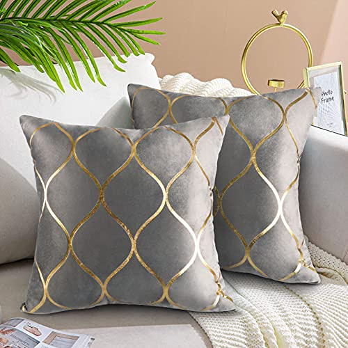 Hanrunsi Grey Cushions Covers 2 Pack 18x 18 Cushion Cases Velvet Decorative Square Grey Cushions for Sofa Couch Bed Living Room Home Decor 45x45 cm