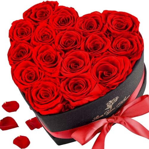 Wudyfei Forever Flowers, 16 Fresh Preserved Rose in Heart Shape Box for Delivery Prime, Eternal Rose for Her Wife Girlfriend Women on Valentine's Day, Anniversary, Birthday, Mother's Day (Red)
