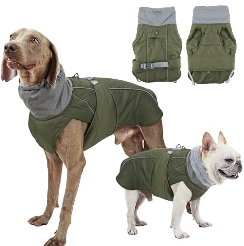 FePen Cappotto Invernale per Cani, Giacca Cane Impermeabile, Gilet per Cani, Vestiti Caldi perr Animali Domestici, Antivento per Esterno (Green, S)